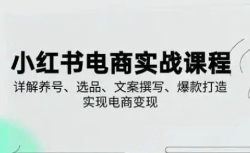 小红书从0-1实操课(2023-2025)，详解养号、选品、文案撰写、爆款打造实现电商变现-网创星球