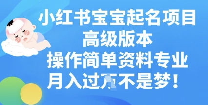 小红书宝宝起名项目高级版本，操作简单，资料专业，月入过W-网创星球