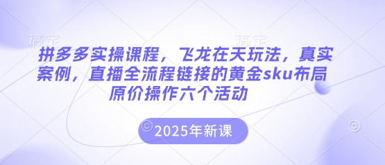 拼多多实操课程，飞龙在天玩法，真实案例，直播全流程链接的黄金sku布局原价操作六个活动-网创星球