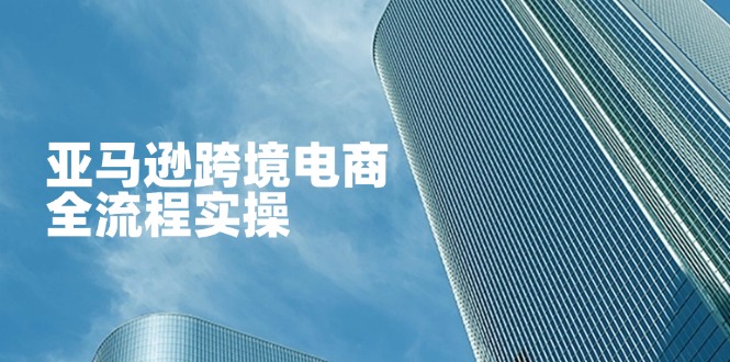 （14252期）亚马逊跨境电商全流程实操，教你从零开始，掌握店铺运营与广告技巧-网创星球