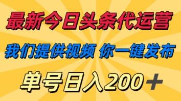 最新今日头条代运营，我们提供视频，你一键发布，单号日入200+【揭秘】-网创星球