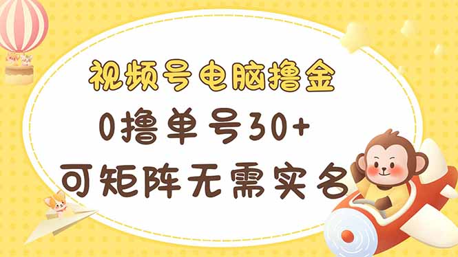 （14220期）视频号电脑撸金 0撸单号30+ 可矩阵 无需实名多号多得-网创星球