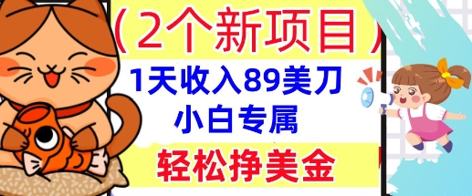 2个新项目，轻松挣美金， 1天收入89美刀，小白专属，干货分享-网创星球