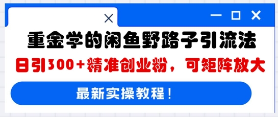 重金学的闲鱼野路子引流法，日引300+精准创业粉，可矩阵放大-网创星球
