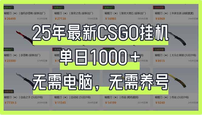 （14178期）25年最新CSGO挂机系统，单日1000+，无需电脑，无需养号，0基础可上手-网创星球