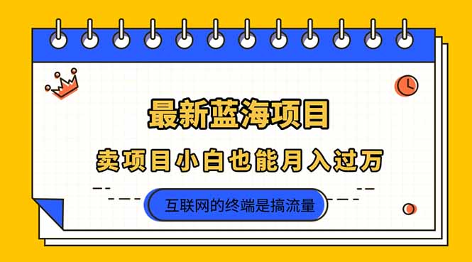 （14289期）2025年最新蓝海项目，卖项目小白也能月入过万-网创星球