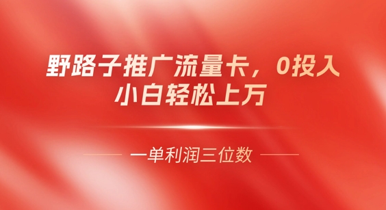 0门槛推广流量卡，一单收益上百，0投入，小白月入过W-网创星球