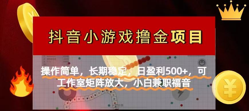 （14290期）【抖音小游戏发行人计划项目】操作简单，长期稳定，日盈利500+，可工作…-网创星球