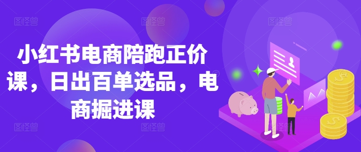 小红书电商陪跑正价课，小红书官方认证电商讲师教学，日出百单选品，电商掘进课-网创星球