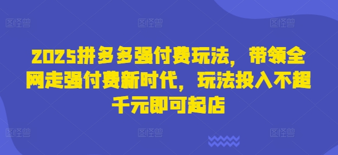 2025拼多多强付费玩法，带领全网走强付费新时代，玩法投入不超千元即可起店-网创星球