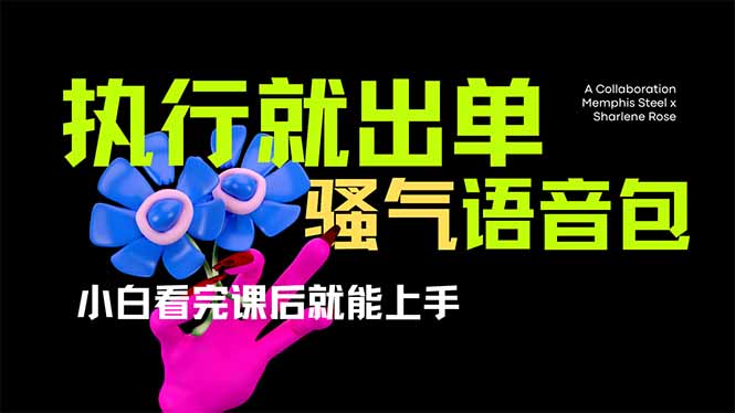 （14170期）爆火全网的开车导航骚气语音包,只要执行就出单，小白看完课程就能实操…-网创星球
