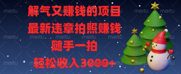 解气又挣钱的项目，最新违章拍照挣钱，随手一拍，轻松收入数张【揭秘】-网创星球